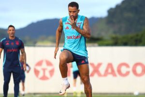Danilo volta de lesão e reforça o Flamengo para a próxima rodada